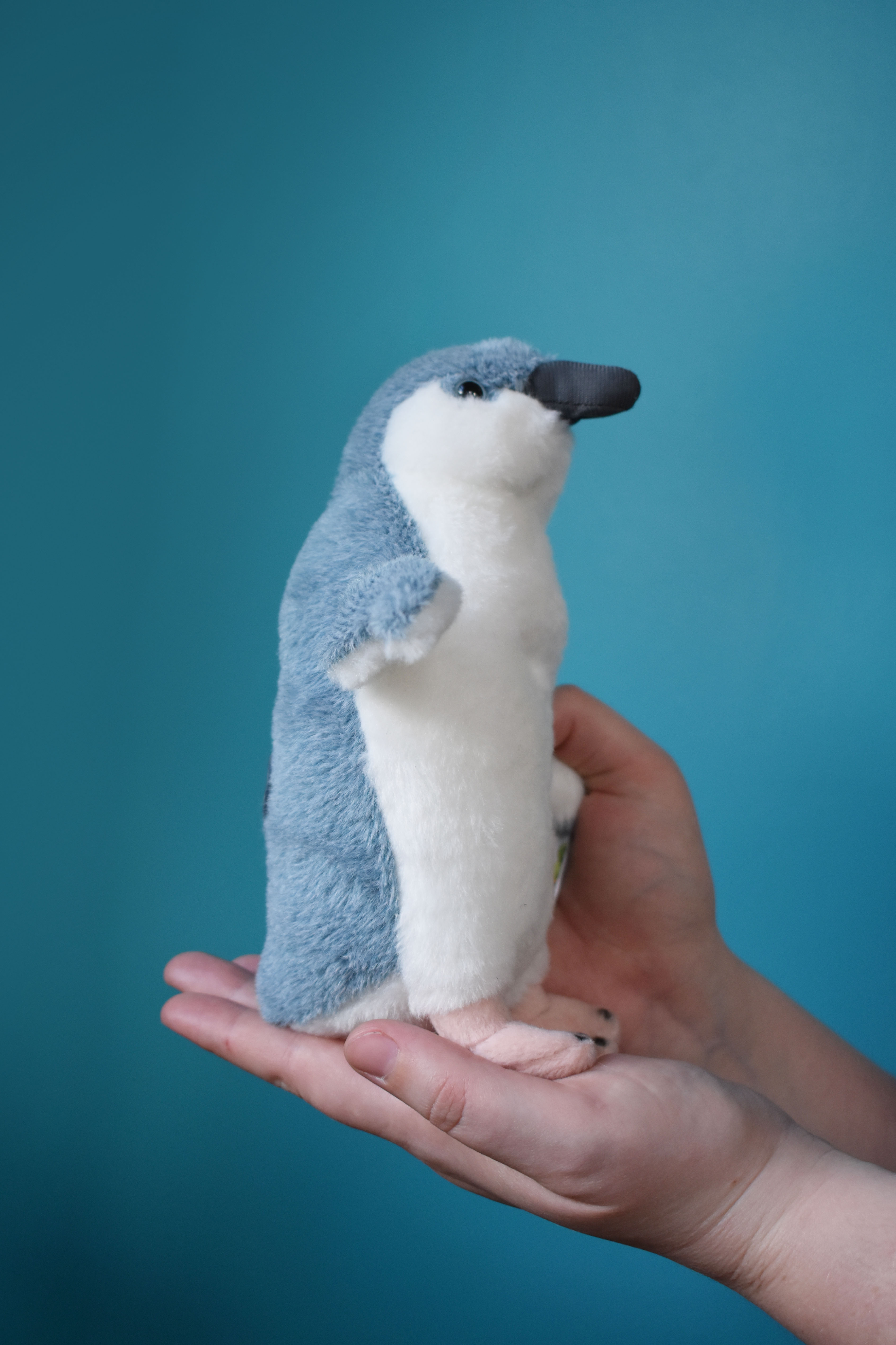 blue penguin soft toy