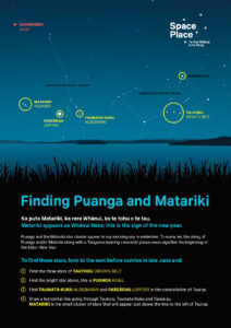 Finding Matariki and Puanga